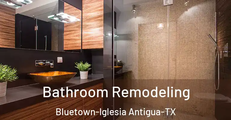 inner Bathroom imggen Bathroom Remodeling Bluetown-Iglesia Antigua-TX