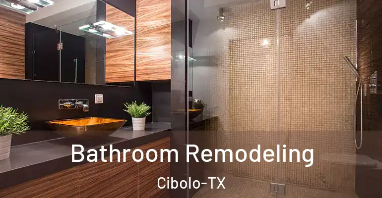 inner Bathroom imggen Bathroom Remodeling Cibolo-TX