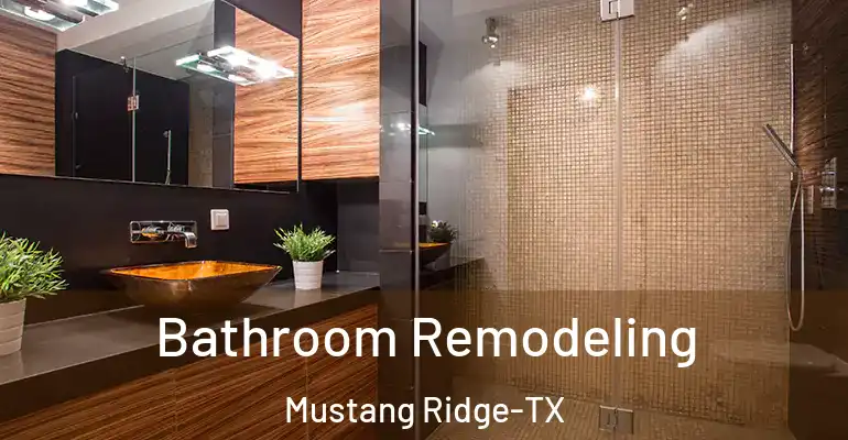 inner Bathroom imggen Bathroom Remodeling Mustang Ridge-TX