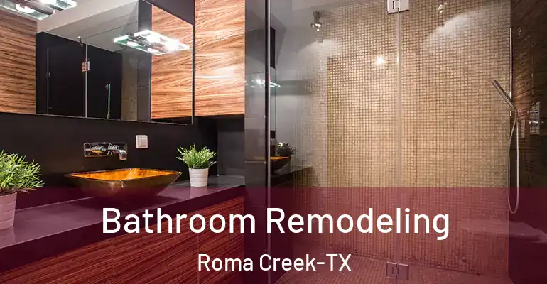 inner Bathroom imggen Bathroom Remodeling Roma Creek-TX