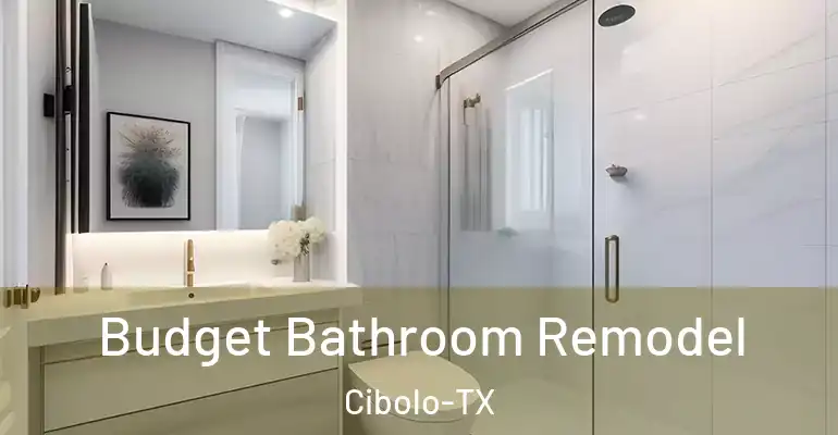 inner Bathroom imggen Budget Bathroom Remodel Cibolo-TX