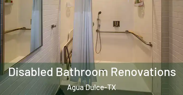 inner Bathroom imggen Disabled Bathroom Renovations Agua Dulce-TX