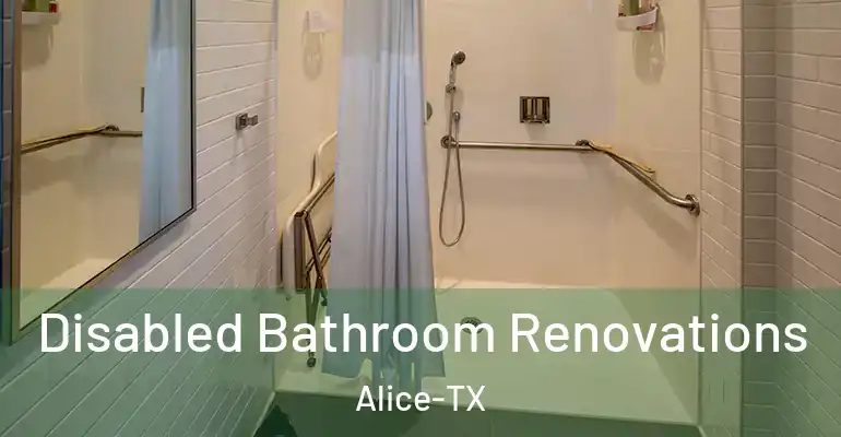 inner Bathroom imggen Disabled Bathroom Renovations Alice-TX