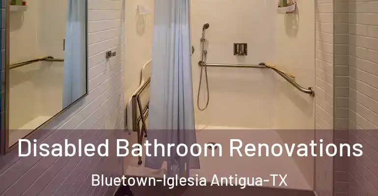 inner Bathroom imggen Disabled Bathroom Renovations Bluetown-Iglesia Antigua-TX