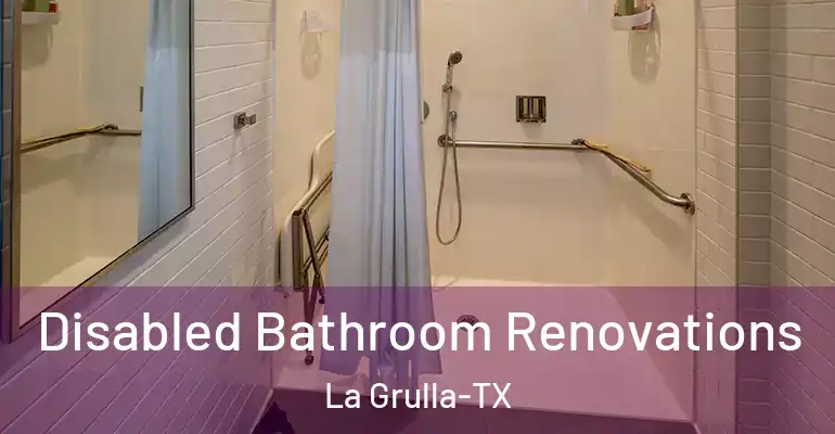 inner Bathroom imggen Disabled Bathroom Renovations La Grulla-TX