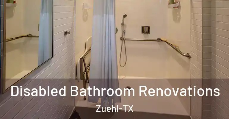 inner Bathroom imggen Disabled Bathroom Renovations Zuehl-TX