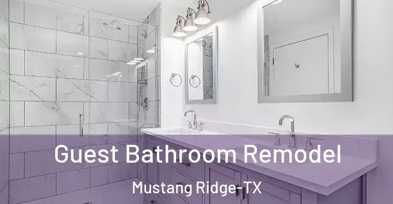 inner Bathroom imggen Guest Bathroom Remodel Mustang Ridge-TX