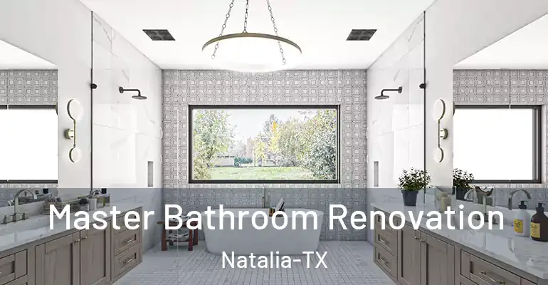 inner Bathroom imggen Master Bathroom Renovation Natalia-TX