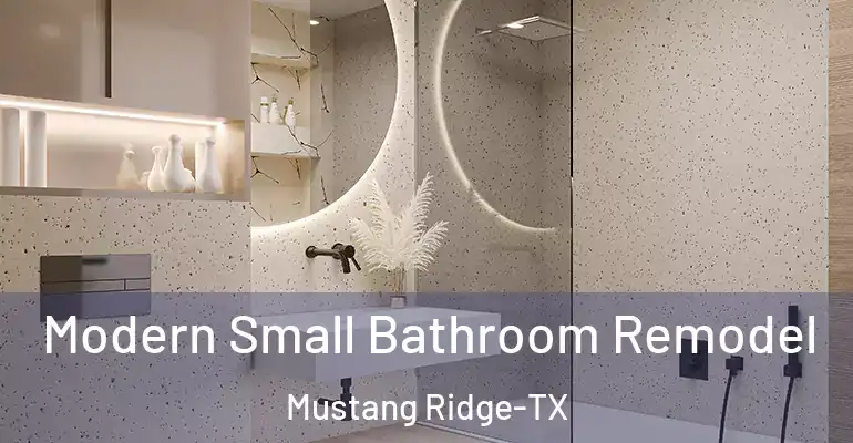 inner Bathroom imggen Modern Small Bathroom Remodel Mustang Ridge-TX