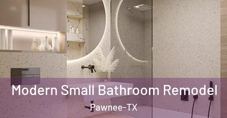 inner Bathroom imggen Modern Small Bathroom Remodel Pawnee-TX