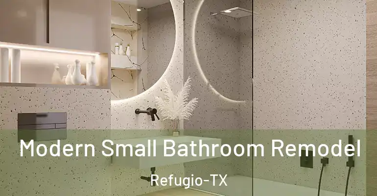 inner Bathroom imggen Modern Small Bathroom Remodel Refugio-TX