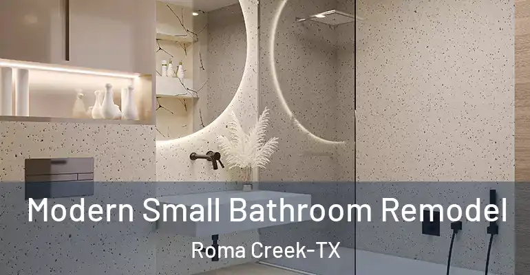 inner Bathroom imggen Modern Small Bathroom Remodel Roma Creek-TX