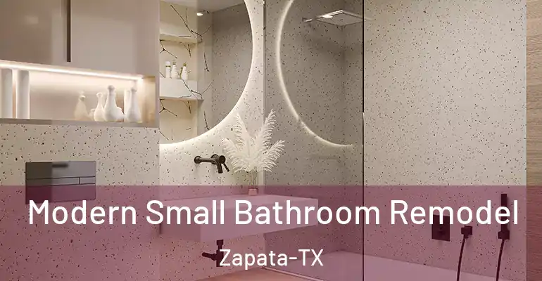 inner Bathroom imggen Modern Small Bathroom Remodel Zapata-TX