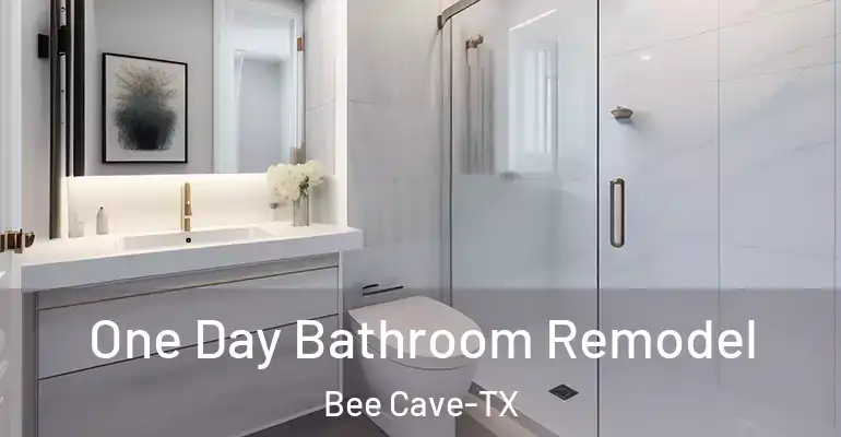 inner Bathroom imggen One Day Bathroom Remodel Bee Cave-TX