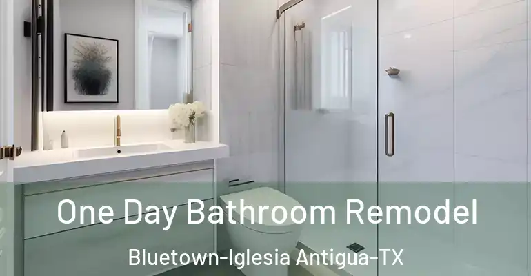 inner Bathroom imggen One Day Bathroom Remodel Bluetown-Iglesia Antigua-TX