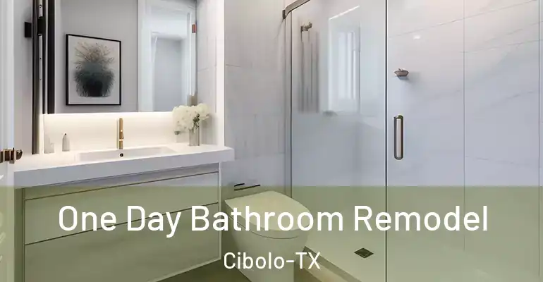 inner Bathroom imggen One Day Bathroom Remodel Cibolo-TX