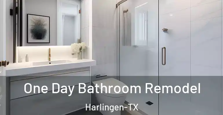 inner Bathroom imggen One Day Bathroom Remodel Harlingen-TX