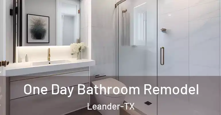 inner Bathroom imggen One Day Bathroom Remodel Leander-TX