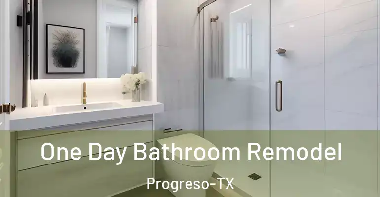 inner Bathroom imggen One Day Bathroom Remodel Progreso-TX