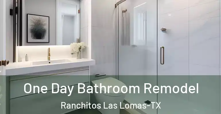 inner Bathroom imggen One Day Bathroom Remodel Ranchitos Las Lomas-TX