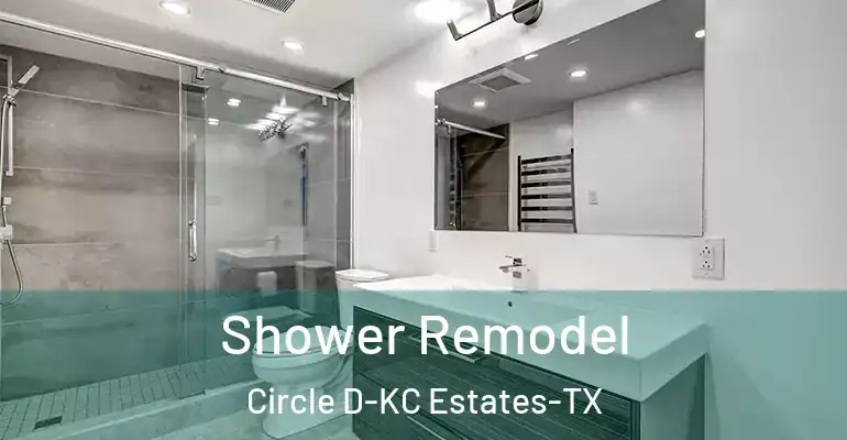 inner Bathroom imggen Shower Remodel Circle D-KC Estates-TX