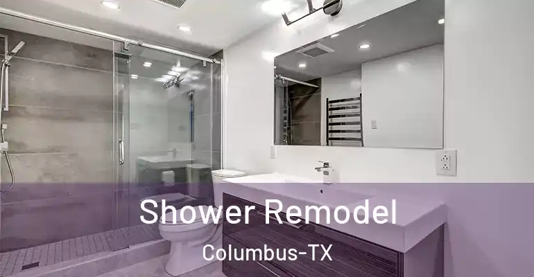 inner Bathroom imggen Shower Remodel Columbus-TX