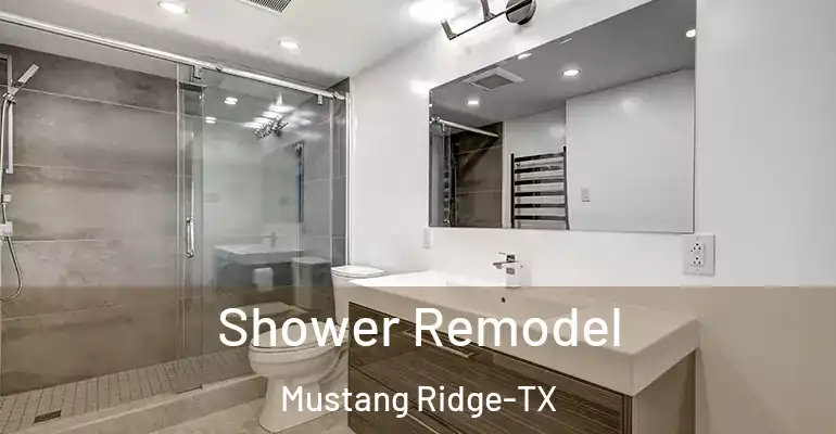 inner Bathroom imggen Shower Remodel Mustang Ridge-TX