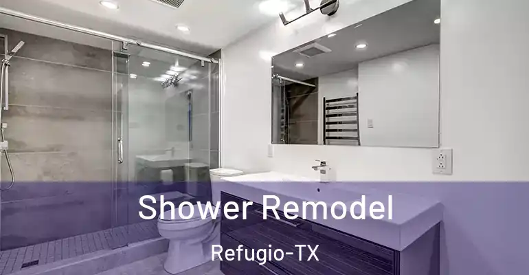 inner Bathroom imggen Shower Remodel Refugio-TX