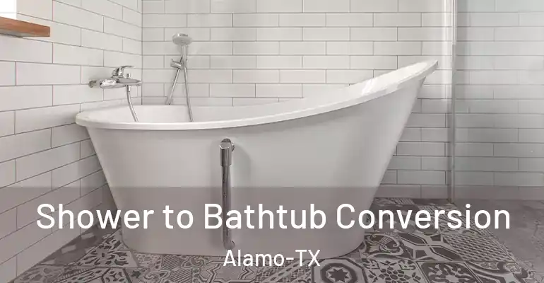 inner Bathroom imggen Shower to Bathtub Conversion Alamo-TX