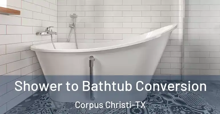 inner Bathroom imggen Shower to Bathtub Conversion Corpus Christi-TX