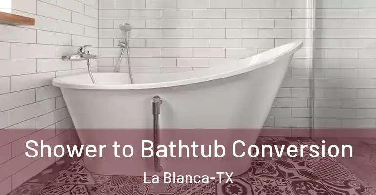 inner Bathroom imggen Shower to Bathtub Conversion La Blanca-TX