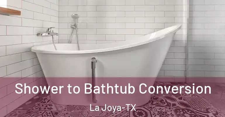 inner Bathroom imggen Shower to Bathtub Conversion La Joya-TX