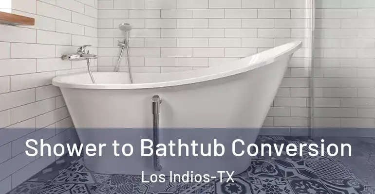 inner Bathroom imggen Shower to Bathtub Conversion Los Indios-TX