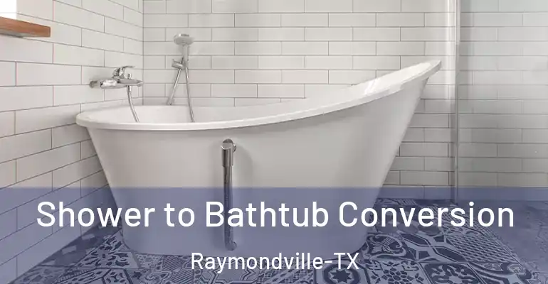 inner Bathroom imggen Shower to Bathtub Conversion Raymondville-TX