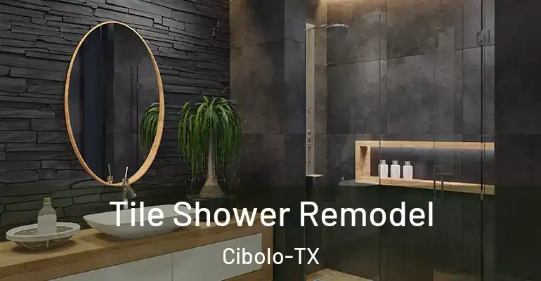 inner Bathroom imggen Tile Shower Remodel Cibolo-TX
