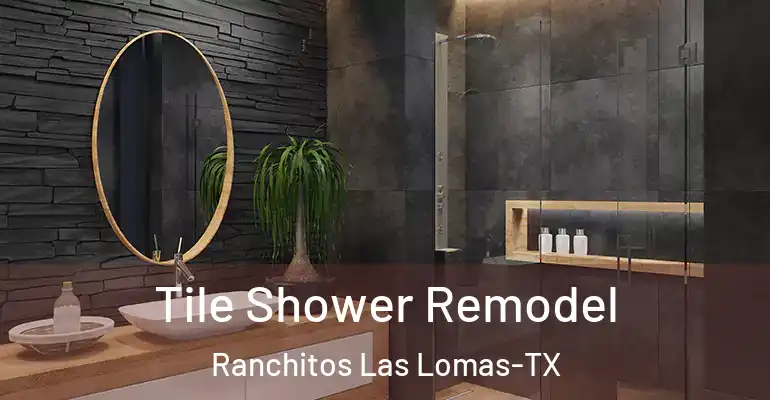 inner Bathroom imggen Tile Shower Remodel Ranchitos Las Lomas-TX