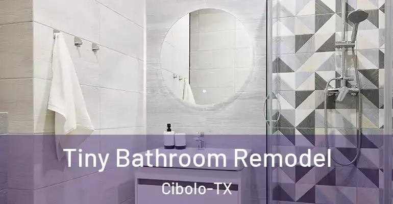 inner Bathroom imggen Tiny Bathroom Remodel Cibolo-TX