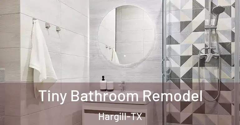 inner Bathroom imggen Tiny Bathroom Remodel Hargill-TX