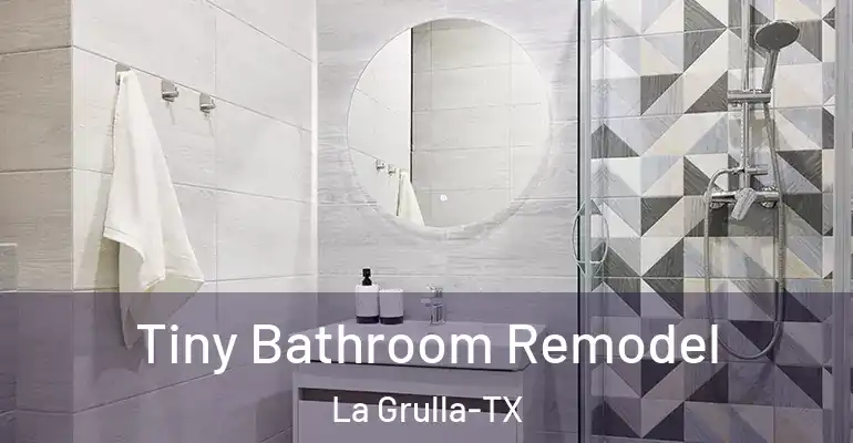 inner Bathroom imggen Tiny Bathroom Remodel La Grulla-TX