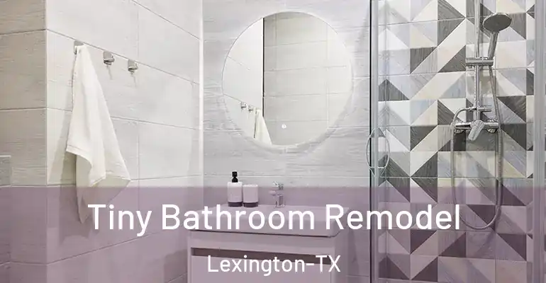 inner Bathroom imggen Tiny Bathroom Remodel Lexington-TX