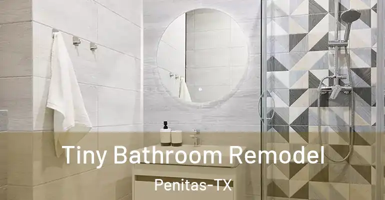 inner Bathroom imggen Tiny Bathroom Remodel Penitas-TX