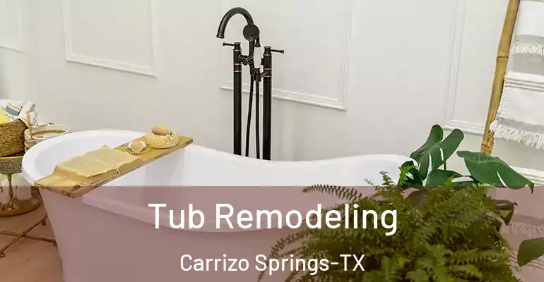 inner Bathroom imggen Tub Remodeling Carrizo Springs-TX