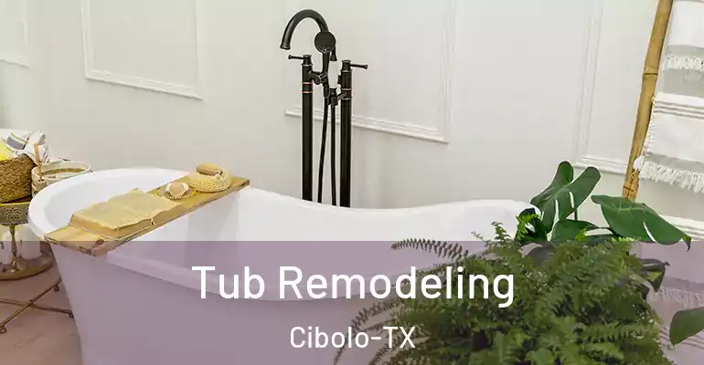 inner Bathroom imggen Tub Remodeling Cibolo-TX