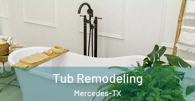 inner Bathroom imggen Tub Remodeling Mercedes-TX