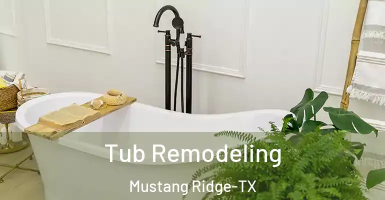 inner Bathroom imggen Tub Remodeling Mustang Ridge-TX