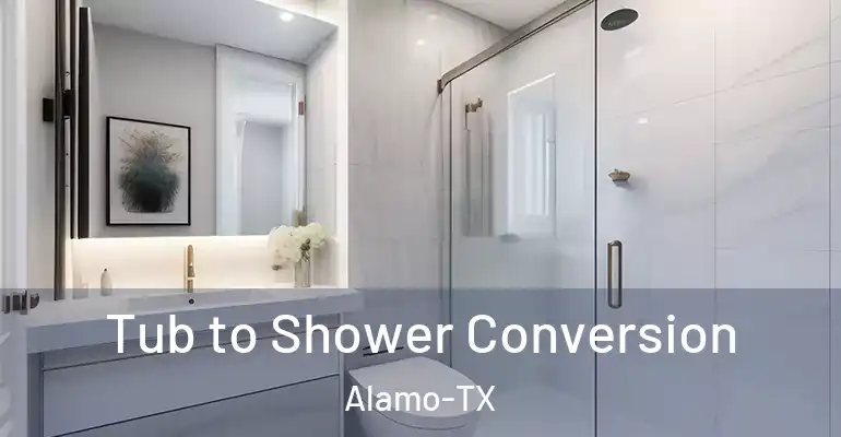 inner Bathroom imggen Tub to Shower Conversion Alamo-TX