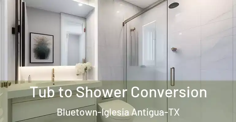 inner Bathroom imggen Tub to Shower Conversion Bluetown-Iglesia Antigua-TX
