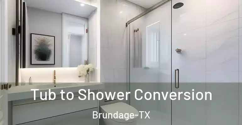 inner Bathroom imggen Tub to Shower Conversion Brundage-TX