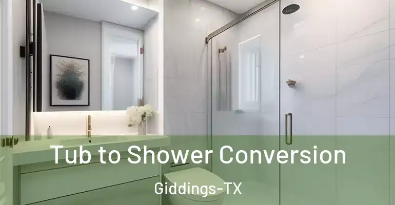 inner Bathroom imggen Tub to Shower Conversion Giddings-TX