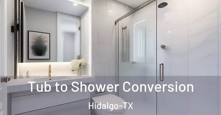 inner Bathroom imggen Tub to Shower Conversion Hidalgo-TX